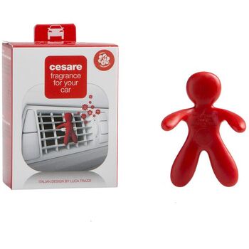 Cesare Pepper Mint (mäta pieporná) - Vôňa do auta